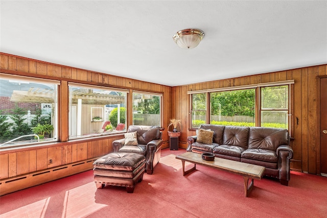 107 California Ave, Freeport, NY 11520 - carpeted living area with wooden walls and a baseboard radiator