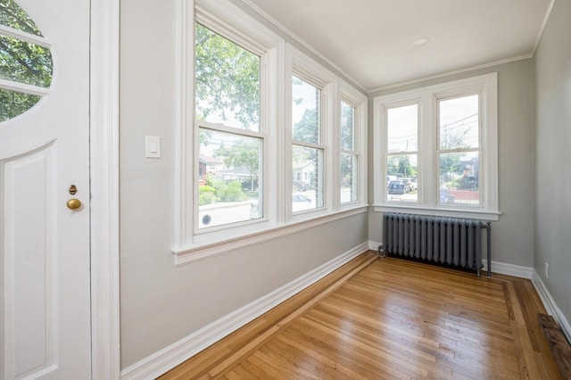 98 Pilot St, Bronx, NY 10464 - photo 10