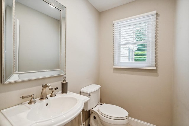 41 Hofstra Dr, Plainview, NY 11803 - photo 36