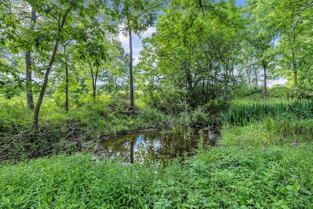 107 Creamery Rd, Stanfordville, NY 12581 - photo 16
