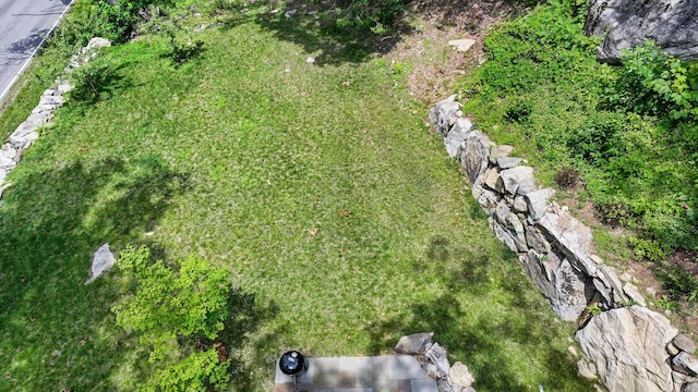 263 Bog Hollow Rd, Wassaic, NY 12592 - photo 23