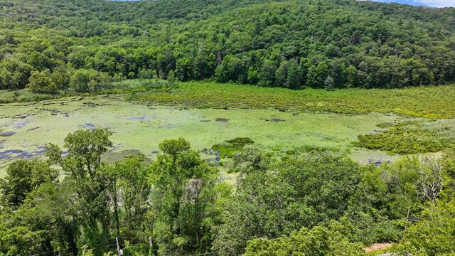 263 Bog Hollow Rd, Wassaic, NY 12592 - photo 35