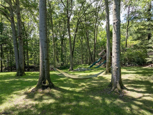 10 Old Woods Dr, Harrison, NY 10528 - photo 40