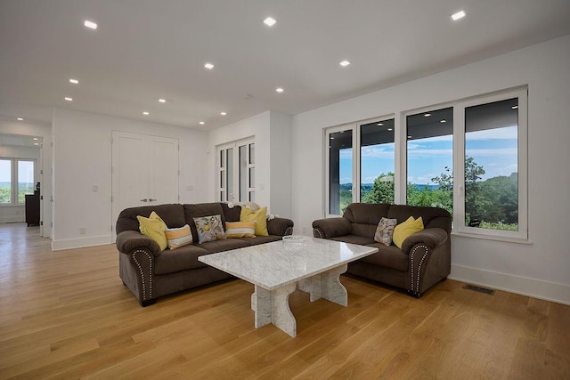 75 Red Fox Ln, Salt Point, NY 12578 - living room with light wood-style flooring and recessed lighting