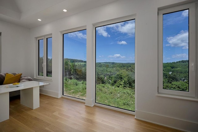 75 Red Fox Ln, Salt Point, NY 12578 - doorway to outside with light wood-type flooring and recessed lighting