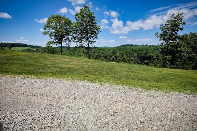 75 Red Fox Ln, Salt Point, NY 12578 - view of yard with a rural view