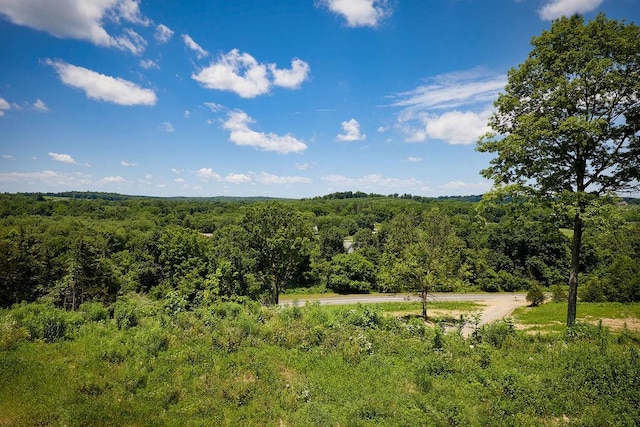 75 Red Fox Ln, Salt Point, NY 12578 - view of tree filled area