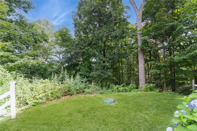 126 Tanglewylde Rd, Lake Peekskill, NY 10537 - view of grassy yard