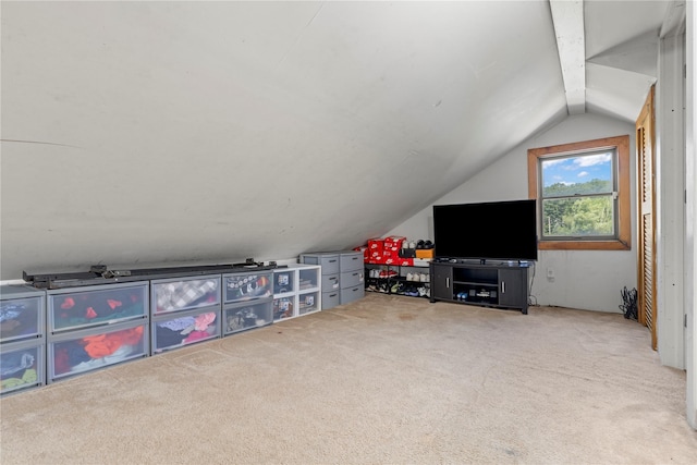 578 S St, Plattekill, NY 12528 - game room with lofted ceiling and carpet flooring