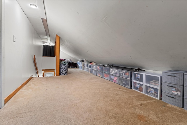 578 S St, Plattekill, NY 12528 - additional living space with carpet flooring and vaulted ceiling