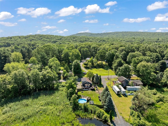 578 S St, Plattekill, NY 12528 - aerial view of a forest