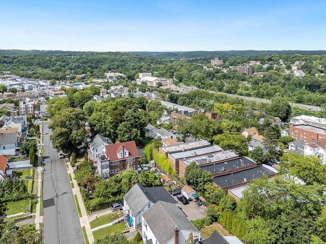 42 Jefferson Ave, White Plains, NY 10606 - photo 11