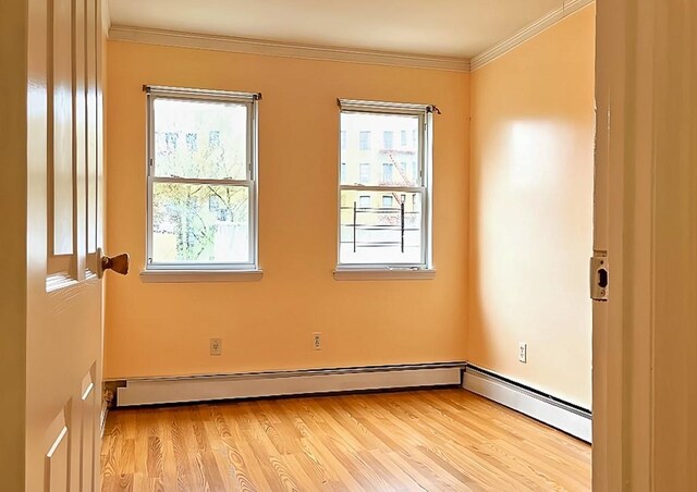 1377 Teller Ave, Bronx, NY 10456 - photo 9