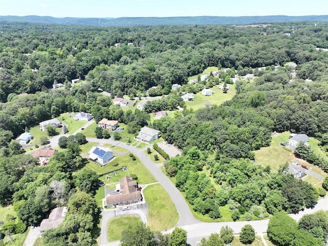 10 Fosse Ct, Airmont, NY 10952