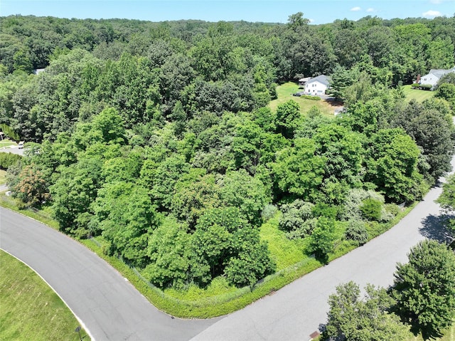 10 Fosse Ct, Airmont, NY 10952