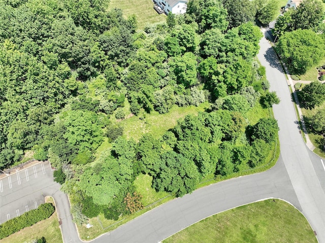 10 Fosse Ct, Airmont, NY 10952