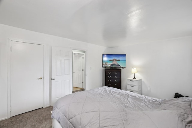 17 Lombardy Dr, Shirley, NY 11967 - view of carpeted bedroom