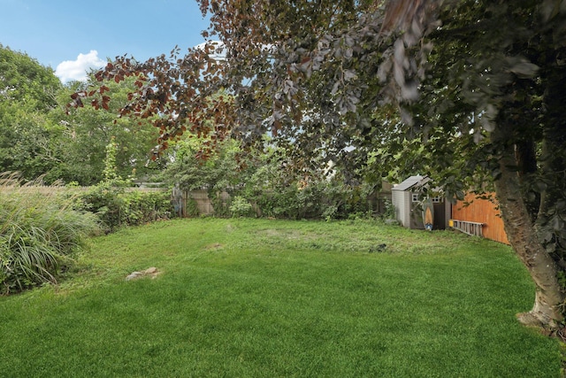 17 Lombardy Dr, Shirley, NY 11967 - fenced backyard featuring a storage unit