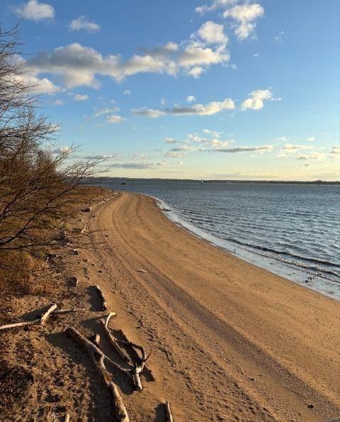 342 Chelsea St, Staten Island, NY 10307 - photo 33