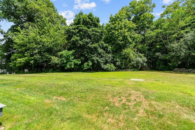 14 E White Gate Rd, Wappingers Falls, NY 12590 - view of green lawn