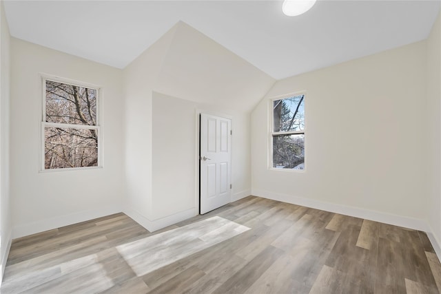 111/2 Dolson Ave, Middletown, NY 10940 - additional living space featuring wood finished floors and vaulted ceiling
