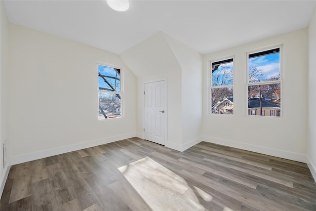 111/2 Dolson Ave, Middletown, NY 10940 - unfurnished room with wood finished floors and vaulted ceiling