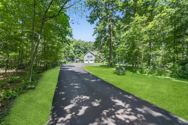 311 Myers Corners Rd, Wappingers Falls, NY 12590 - view of asphalt driveway with a forest view
