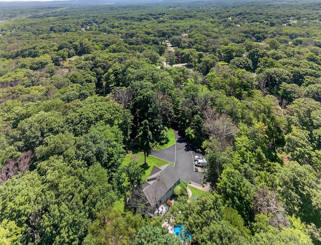 311 Myers Corners Rd, Wappingers Falls, NY 12590 - drone / aerial view of a heavily wooded area