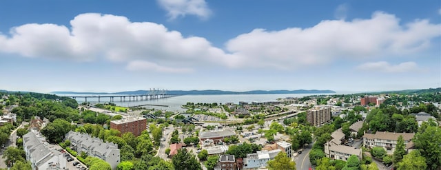 3 White St, Tarrytown, NY 10591 - photo 36