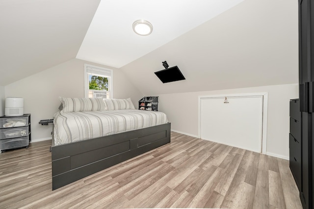 14 Crocus Ct, West Babylon, NY 11704 - bedroom with light wood-style floors and vaulted ceiling
