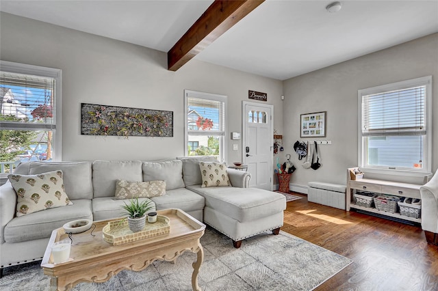 230 Mineola Ave, Carle Place, NY 11514 - photo 5