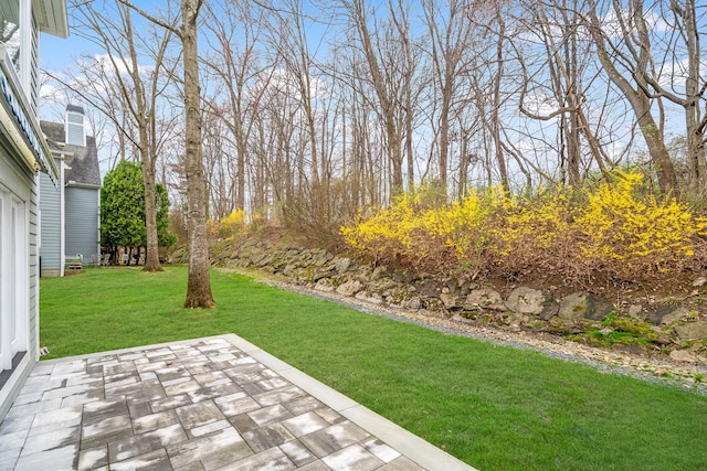 14 Wyndham Close Close, White Plains, NY 10605 - photo 34