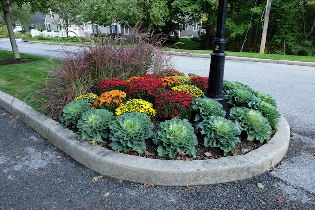 14 Wyndham Close Close, White Plains, NY 10605 - photo 50