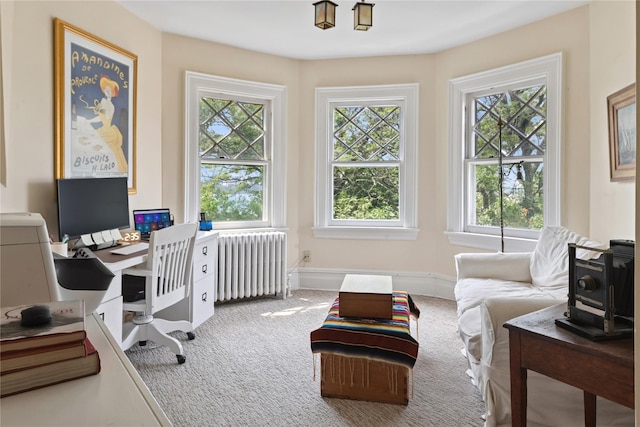 28 Shore Rd, Douglaston, NY 11363 - office space featuring radiator heating unit and carpet