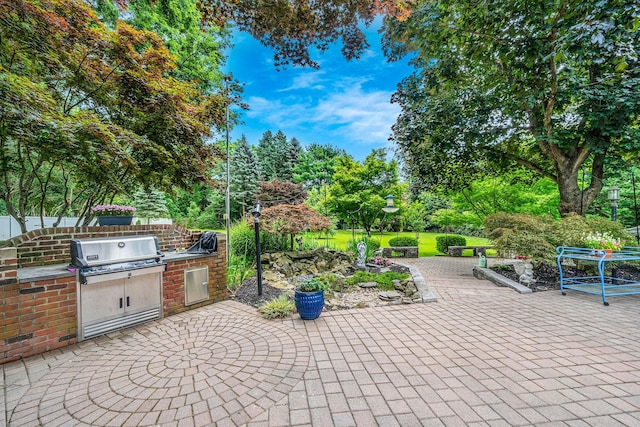 6 Memas Ct, Dix Hills, NY 11746 - view of patio / terrace featuring an outdoor kitchen and view of wooded area
