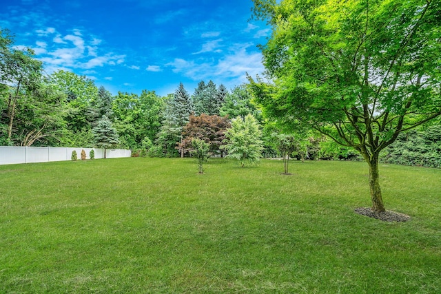 6 Memas Ct, Dix Hills, NY 11746 - view of yard
