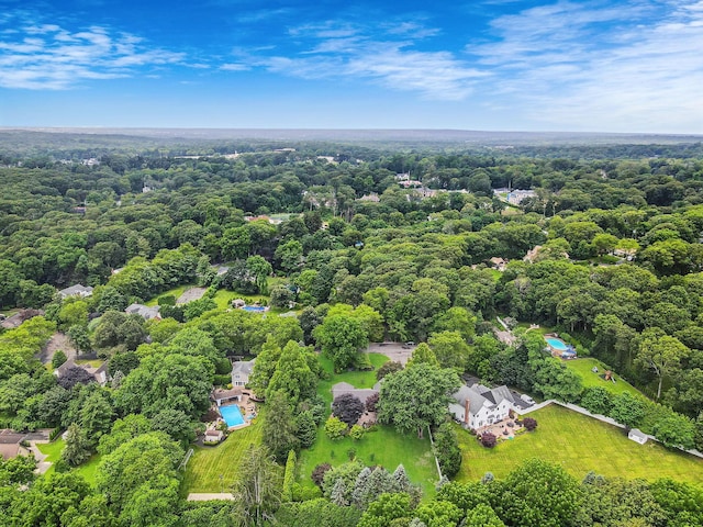 6 Memas Ct, Dix Hills, NY 11746 - bird's eye view of a heavily wooded area