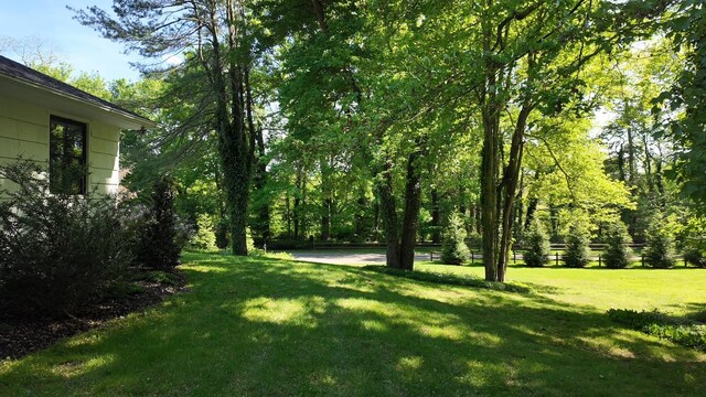 471A Woodbury Rd Unit A, Cold Spring Harbor, NY 11724 - photo 25