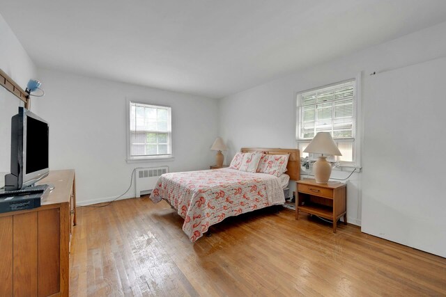 118 Robins Rd Unit 118, New Rochelle, NY 10801 - bedroom with radiator and light wood-style floors