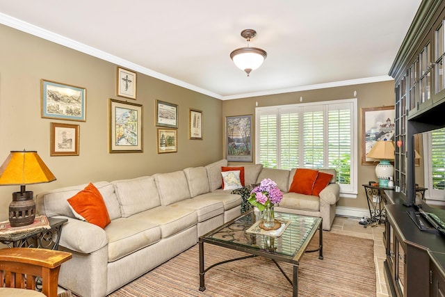 224 Moriches Middle Island Rd, Shirley, NY 11967 - living area with crown molding, light tile patterned flooring, and baseboard heating