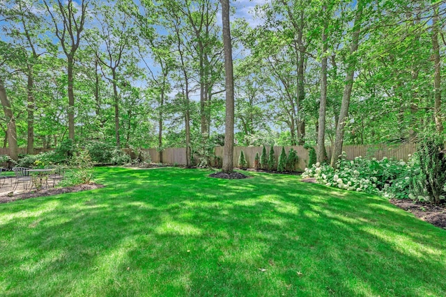224 Moriches Middle Island Rd, Shirley, NY 11967 - view of fenced backyard