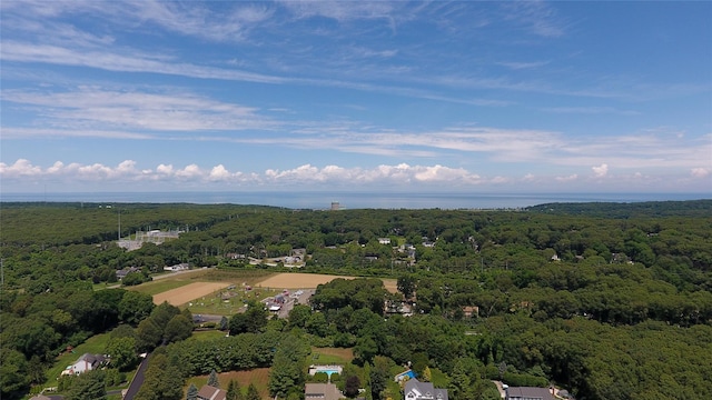 9 Deerfield Dr, Wading River, NY 11792 - photo 28