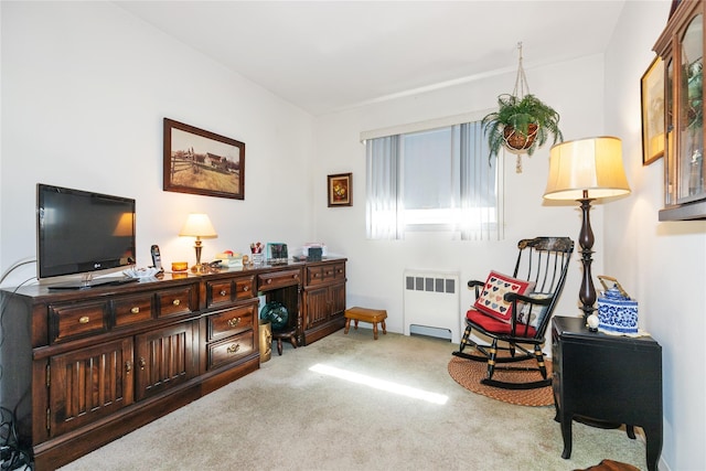 2 Nautilus Ave, Plainview, NY 11803 - living area with radiator and carpet