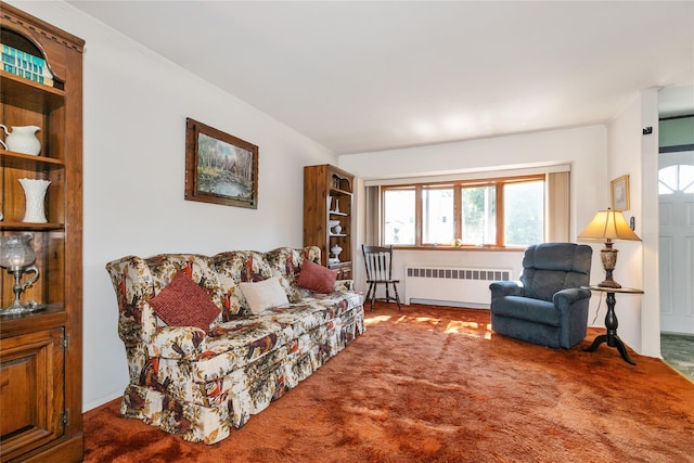 2 Nautilus Ave, Plainview, NY 11803 - living room featuring radiator and carpet