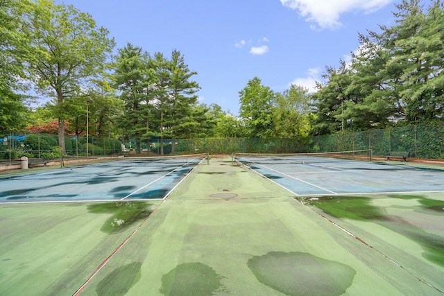 42 Richmond Blvd Unit 3B, Ronkonkoma, NY 11779 - view of tennis court featuring view of scattered trees