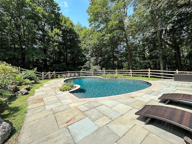 233 Upper Shad Rd, Pound Ridge, NY 10576 - view of swimming pool featuring a patio and a fenced backyard