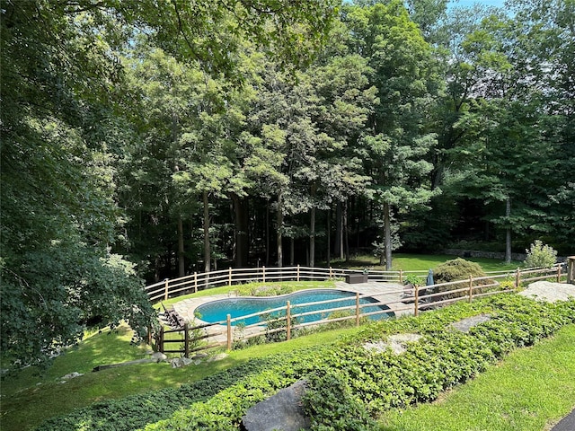233 Upper Shad Rd, Pound Ridge, NY 10576 - view of pool