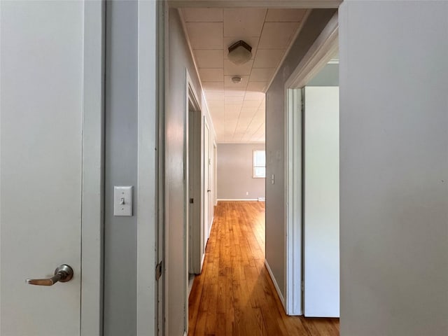 26 Madeline St, Cairo, NY 12413 - photo 19