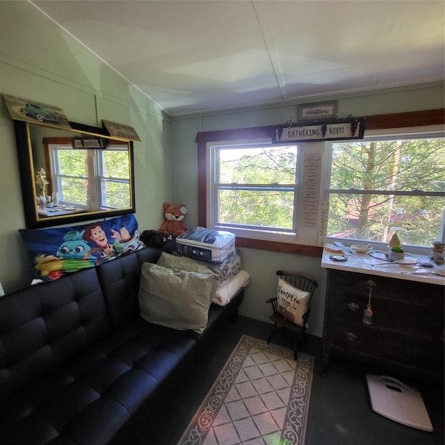 28 E Sullivan Pl, Smallwood, NY 12720 - living room featuring lofted ceiling