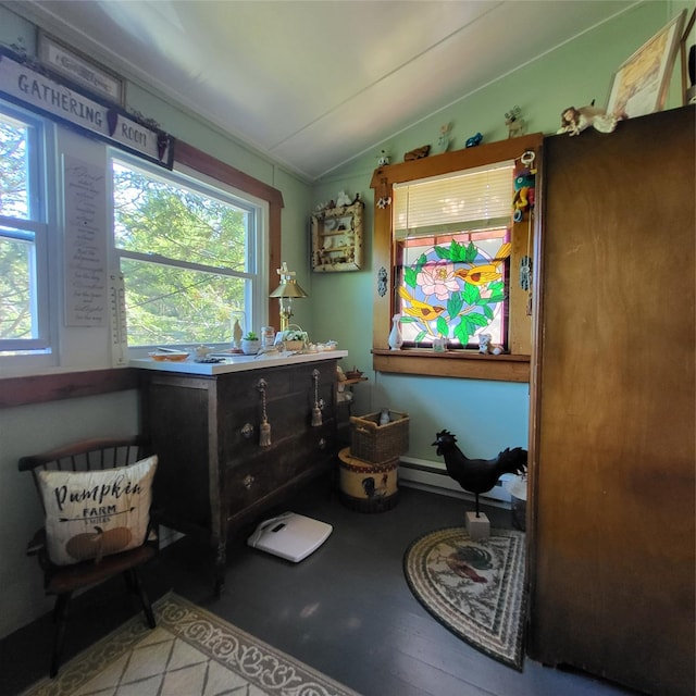 28 E Sullivan Pl, Smallwood, NY 12720 - misc room featuring lofted ceiling